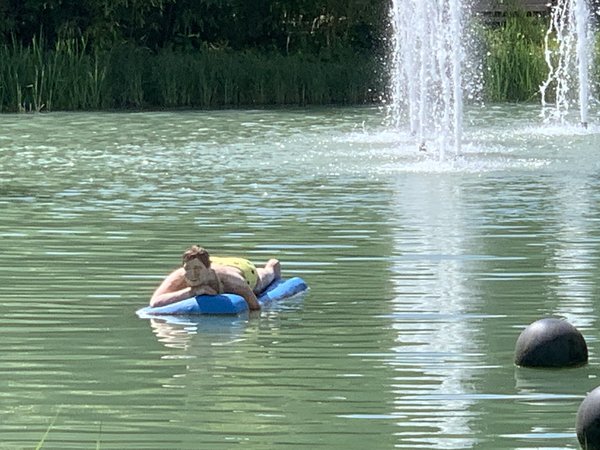 Wer schwimmt denn da?